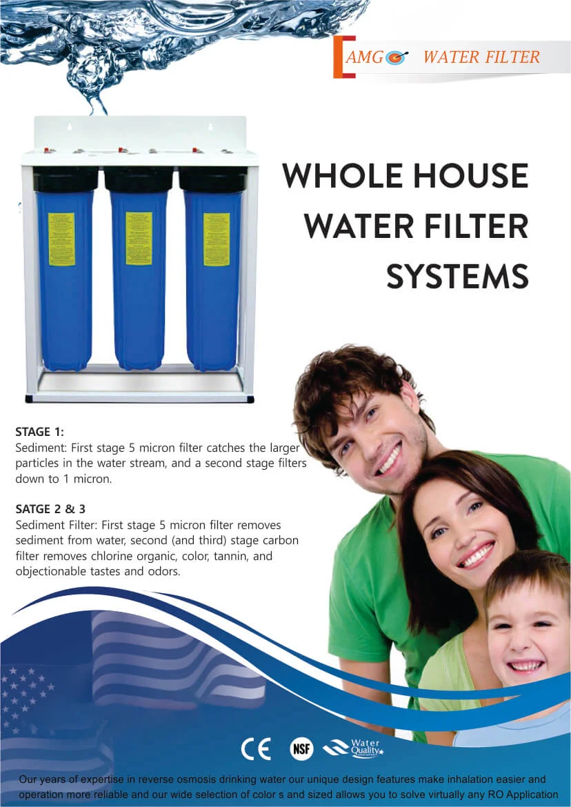 best domestic water filter